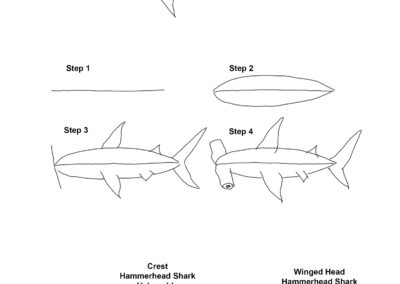 Drawing of hammerhead shark