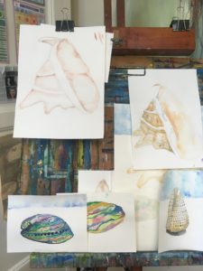 seashells at Art Box Workshops