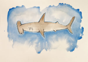 hammerhead painting