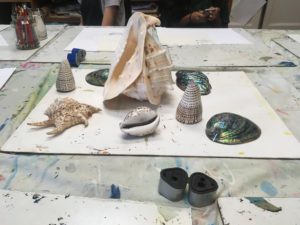 Seashells at art box Workshops