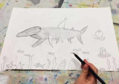 Shark drawing