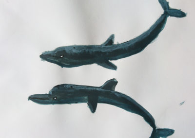 Virtual gallery of Dolphins