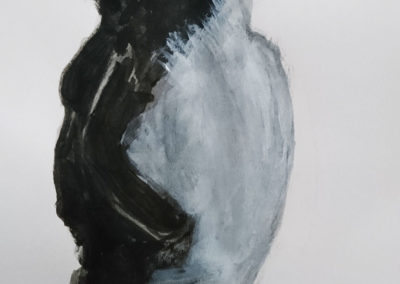 Virtual gallery of little penguin