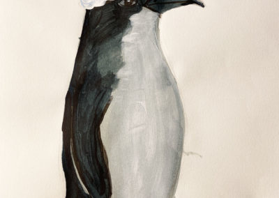 painting of Little Penguin
