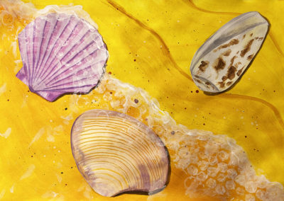 Seashell painting